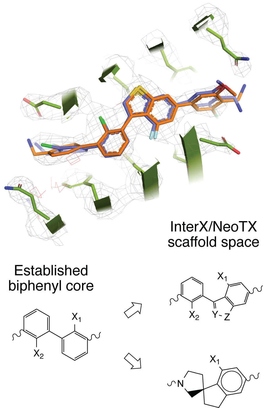 Structure-based PD-L1 small-molecule discovery project visual.